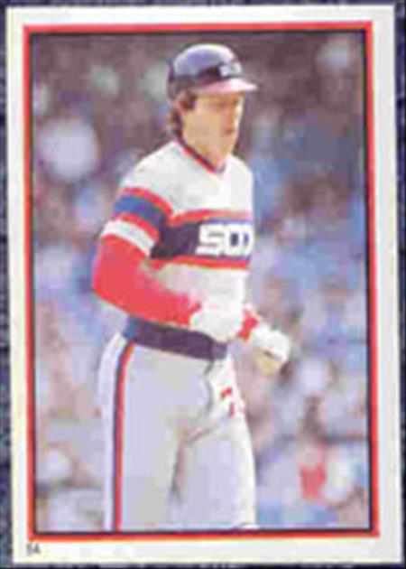 1983 Topps Baseball Stickers     054      Carlton Fisk